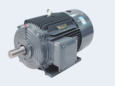 YD 系列變極多速三相異步電動機
